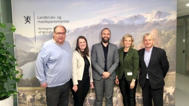 Tungt politisk press fra Innlandet om å bygge ny Mjøsbru i tre