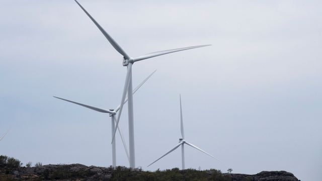 Bellona-grunnlegger skal lede kamp mot vindmøller