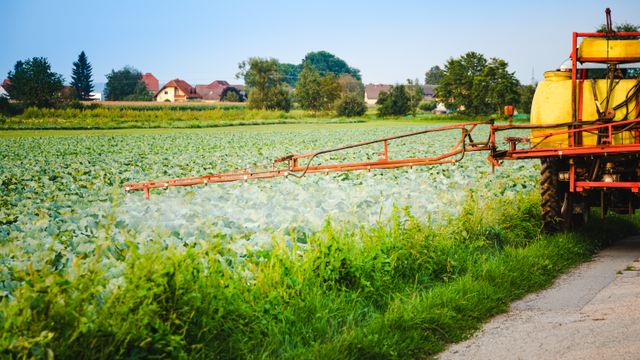 To av tre prøver av dansk grunnvann er forurenset med plantevernmidler