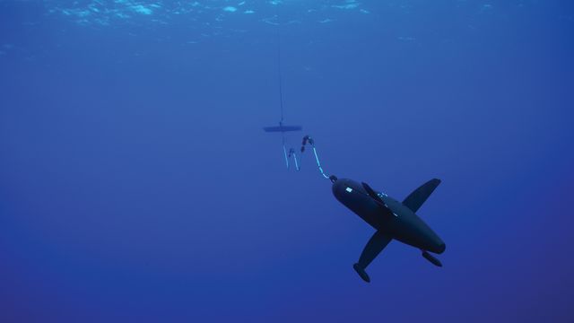 De bruker bølger, vind eller oppdrift til å komme seg fram på havet. Slik virker sjøglidere