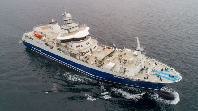 Omstridt slaktebåt fraktet mindre enn en tredjedel av laksen rederiet planla – myndighetene trekker støtte