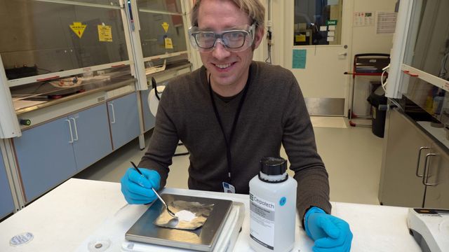 Forskerne lager helt nye materialer slik at ultralyd kan virke uten bly