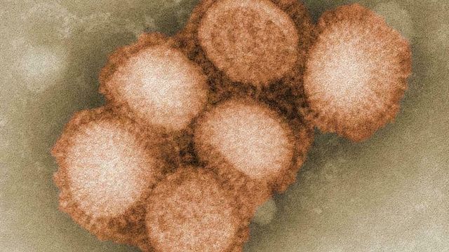 Ny Covid-19-forskning: Avgrensningsstrategier stopper ikke epidemier