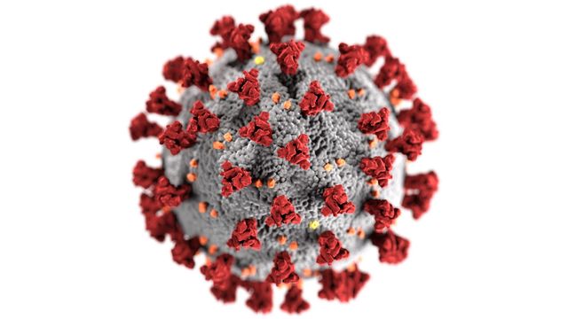 Her kan du finne pålitelig informasjon om koronaviruset