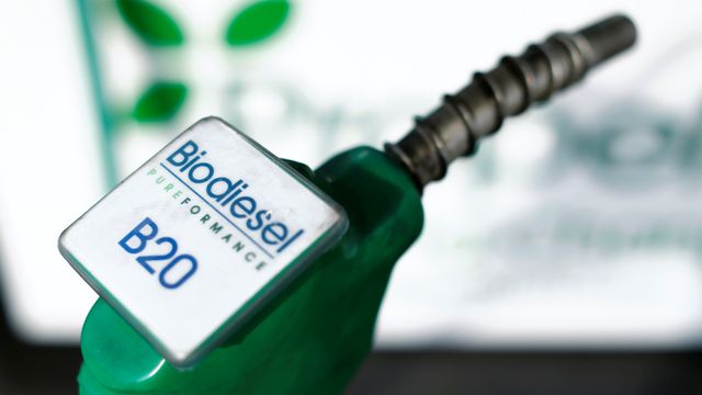 Regjeringen vil ha storstilt biodrivstoff-satsing: – Et gufs fra fortiden, mener leder av europeisk elbilforening