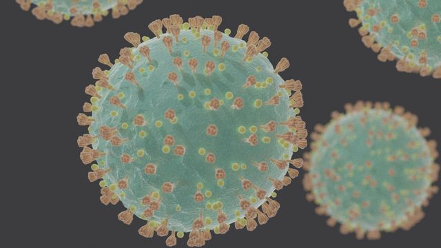 Har funnet svekket koronavirus. Kan føre til at pandemien ebber ut