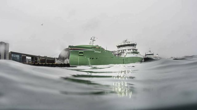 Frykter konkurser og full stopp i grønn omstilling - bruk 10-12-milliarder lik el-bilstøtte på maritim næring
