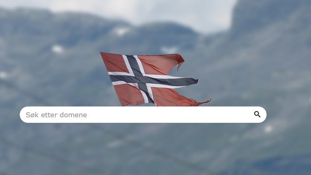 Bare hver fjerde norske virksomhet har et norsk domenenavn