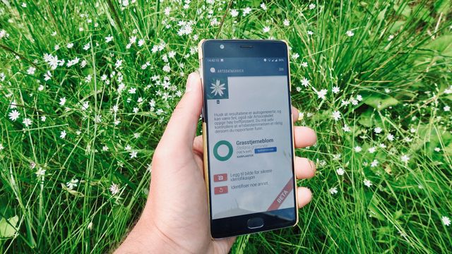 Ny webapp lar deg sjekke norske dyre- og blomsterarter