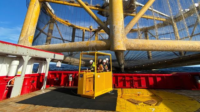 Mener rømming fra havmerd avdekket stort problem: – En liten prosentvis feilmargin vil utgjøre et stort antall fisk