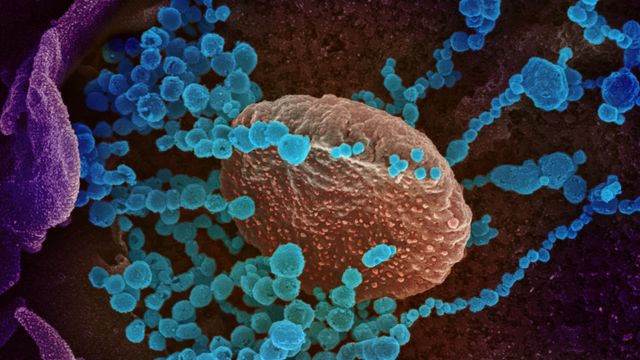 Koronavaksiner bruker revolusjonerende teknologi: Gir bedre immunitet og er enklere å produsere