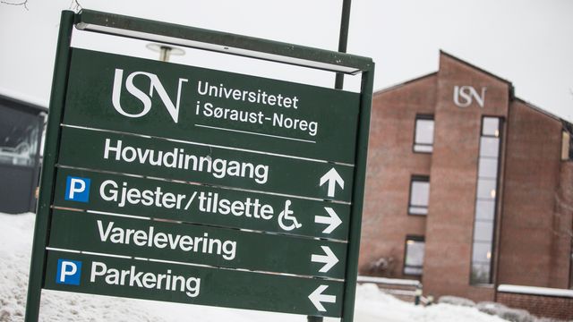 16 menn og 1 kvinne vil bli IT-sjef ved Universitetet i Sørøst-Norge