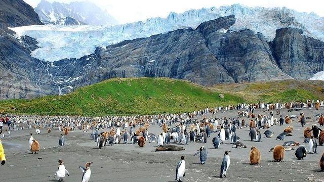 Stort isfjell på vei mot britisk øy truer rikt dyreliv
