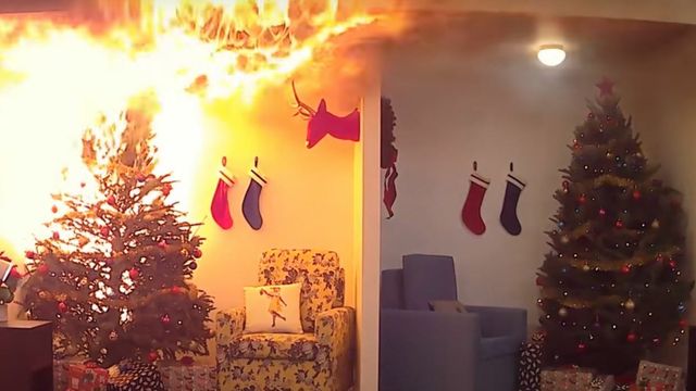 Tørt juletre brenner opp stuen på få sekunder