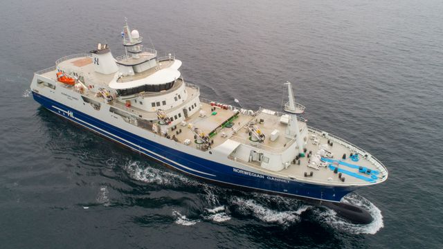 Slaktebåten Norwegian Gannet kan fortsette i ti år