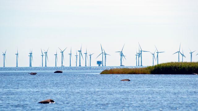 Slik vil de redusere prisen på havvind med ni prosent