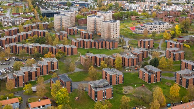 Krever 630 flere strømmålere enn nødvendig: – Hårreisende behandling av sårbar gruppe