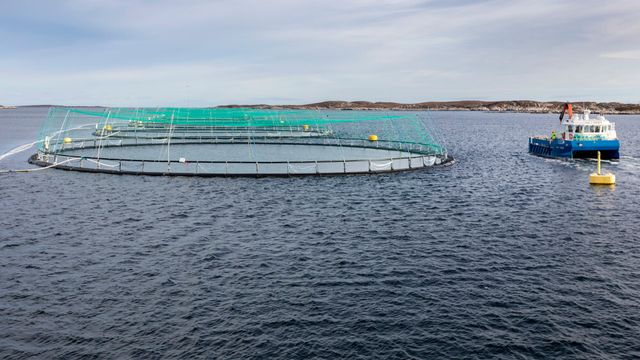 Frykter at teleoperatørene vil gjøre tilgang til spektrum vanskelig