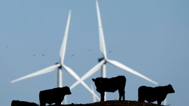 Infralyd fra vindkraft er ikke farlig, viser ny forskning