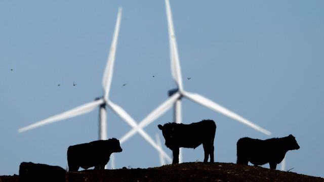Infralyd fra vindkraft er ikke farlig, viser ny forskning