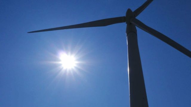 Naturvernere vil mangedoble svensk vindkraft