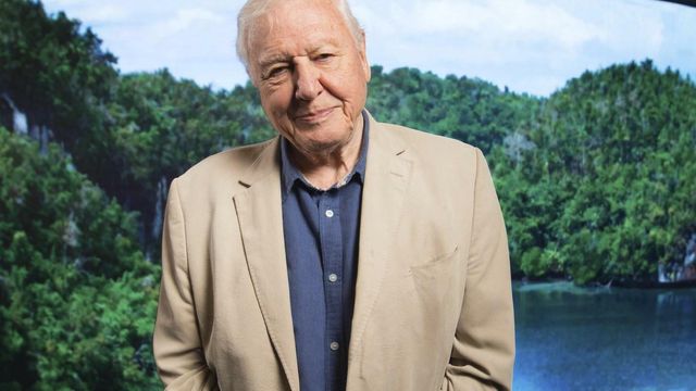 Nei, David Atten­bo­rough har ikke kalt norsk vindkraft «galskap» eller «en skandale»