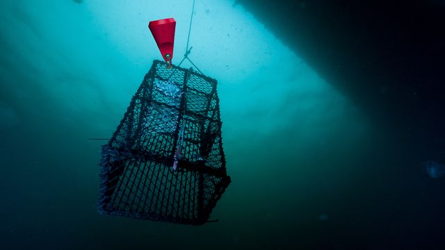 Norsk teknologi skal gjøre fiske mer bærekraftig