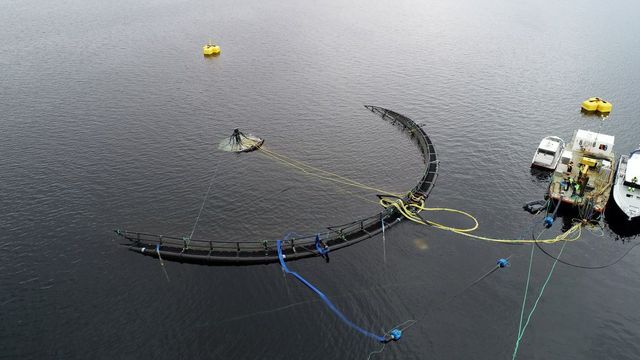 Nedsenkbare merder kan åpne for mer havbruk