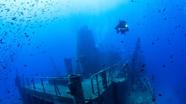 Gjennombrudd i forskning på dykkersyke
