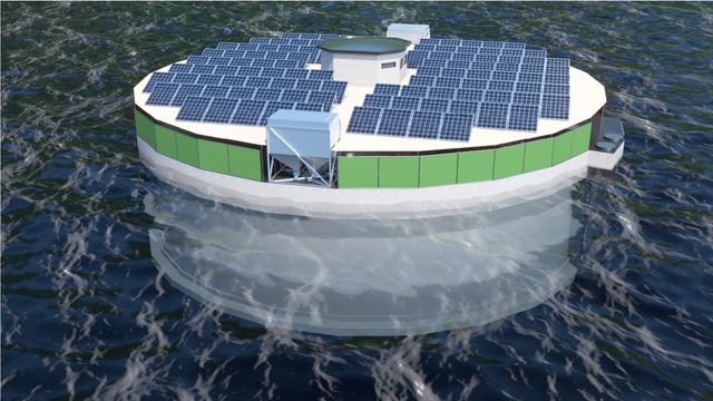 Tidligere oljeingeniør vil bygge oppdrettsanlegg med solceller