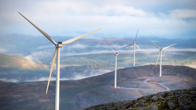 Motvind Norge anmelder vindkraftselskaper på Fosen