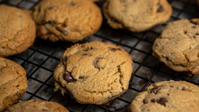 Danmark varsler mindre kontroll med cookies: – Næringslivet jubler