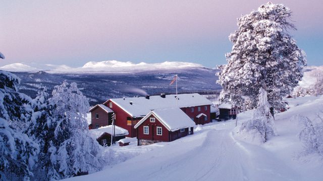 Får ikke fiber: På Ruten Fjellstue kan de miste internett hver gang det blåser