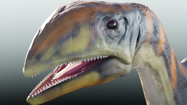 Grønlands nye dinosaur ble avslørt av CT-skanning