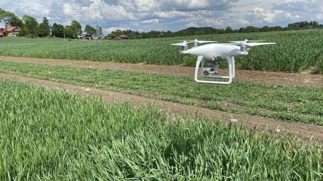 Droner lager digital revolusjon i landbruket