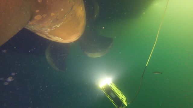 Inntektene fra fjernstyrt skipsinspeksjon tok av i takt med pandemien