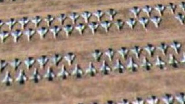 Fly jorden rundt på PC-en din