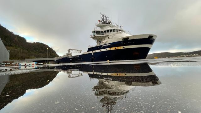 Offshorefartøy blir skjellfiskebåt: – Blant de største uutnyttede sjømatressursene vi har