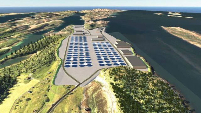 Planlegger landbasert oppdrettsanlegg som skal ligge seks meter under havnivå
