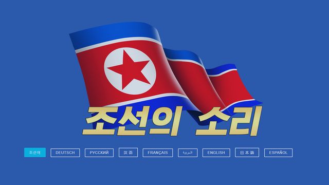 Uavhengig hacker skal ha gått til motangrep på Nord-Korea