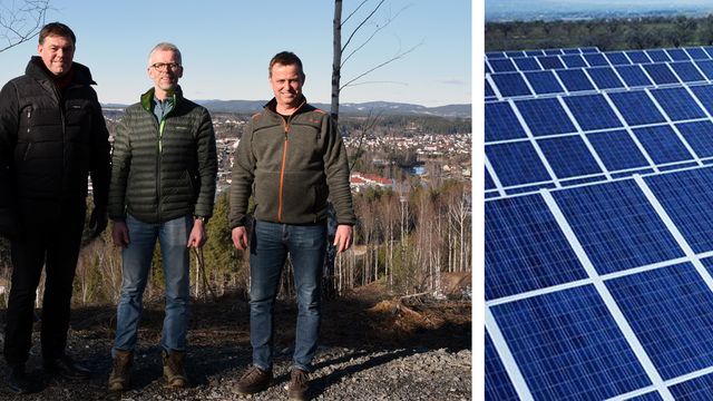 Bygger solcellepark til nye boliger – slipper å bygge ut kraftnettet