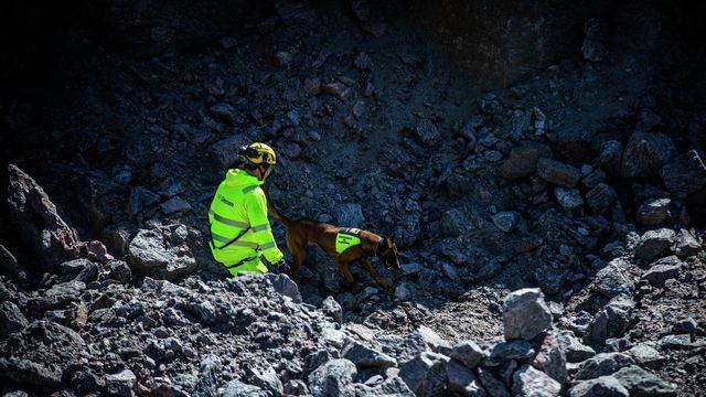 AF Decom klaget på avtale om sprengstoffhund: Fylket felt i Kofa på to punkter