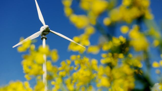 Feil at finsk vindturbin slipper ut tonnevis med mikroplast