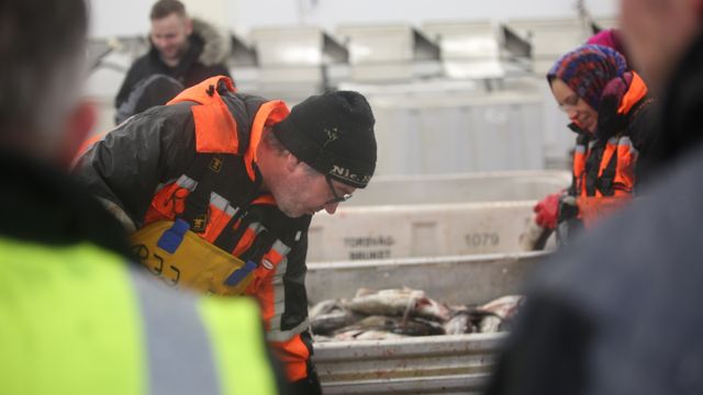 Fiskeriministeren er  kidnappet – miljøterrorister krever endringer i oppdrettsnæringen i stor øvelse i Bodø