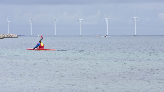 Skal bygge seks havvindparker: – Største danske utlysning noensinne