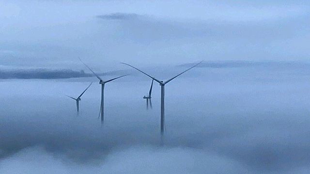 Svensk vindkraft presser ned energiprisen med 35 øre per kWh