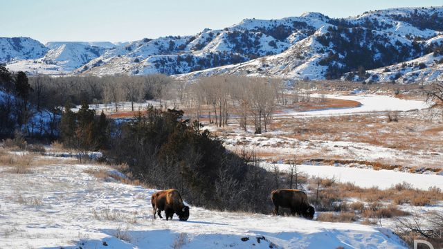 USA støtter 90.000 husstander med 45.000 kroner hver