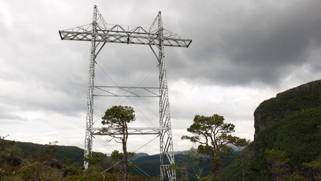 Flaskehalsinntekter skal brukes til å unngå økt nettleie for strømkunder