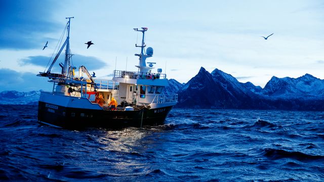 Skal bruke 20 millioner kroner på å utvikle teknologi som kan registrere all fangst i norske farvann