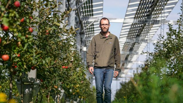 Solenergi åpner nye muligheter for bønder